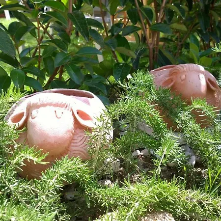 Le Pecore Di Terracotta Pesaro Exterior photo