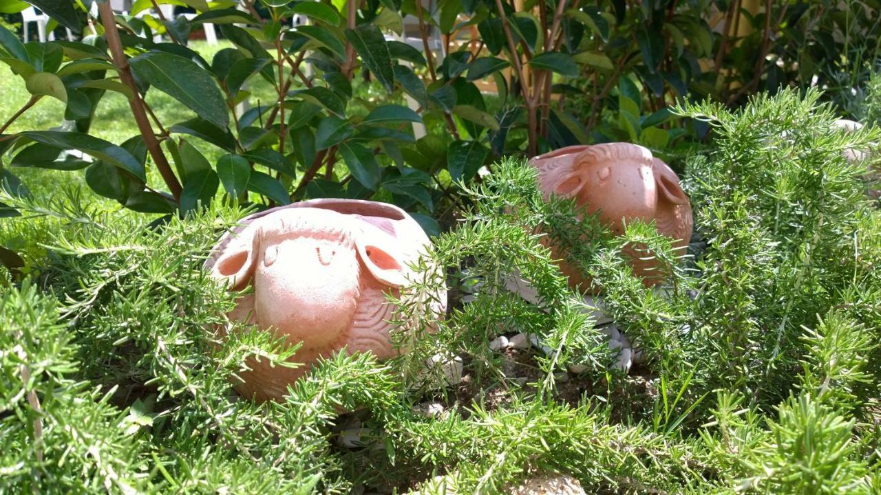 Le Pecore Di Terracotta Apartment *