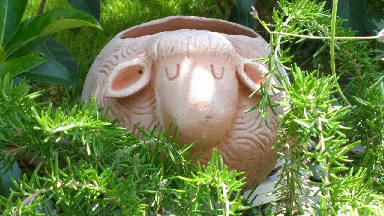 Le Pecore Di Terracotta Apartment *