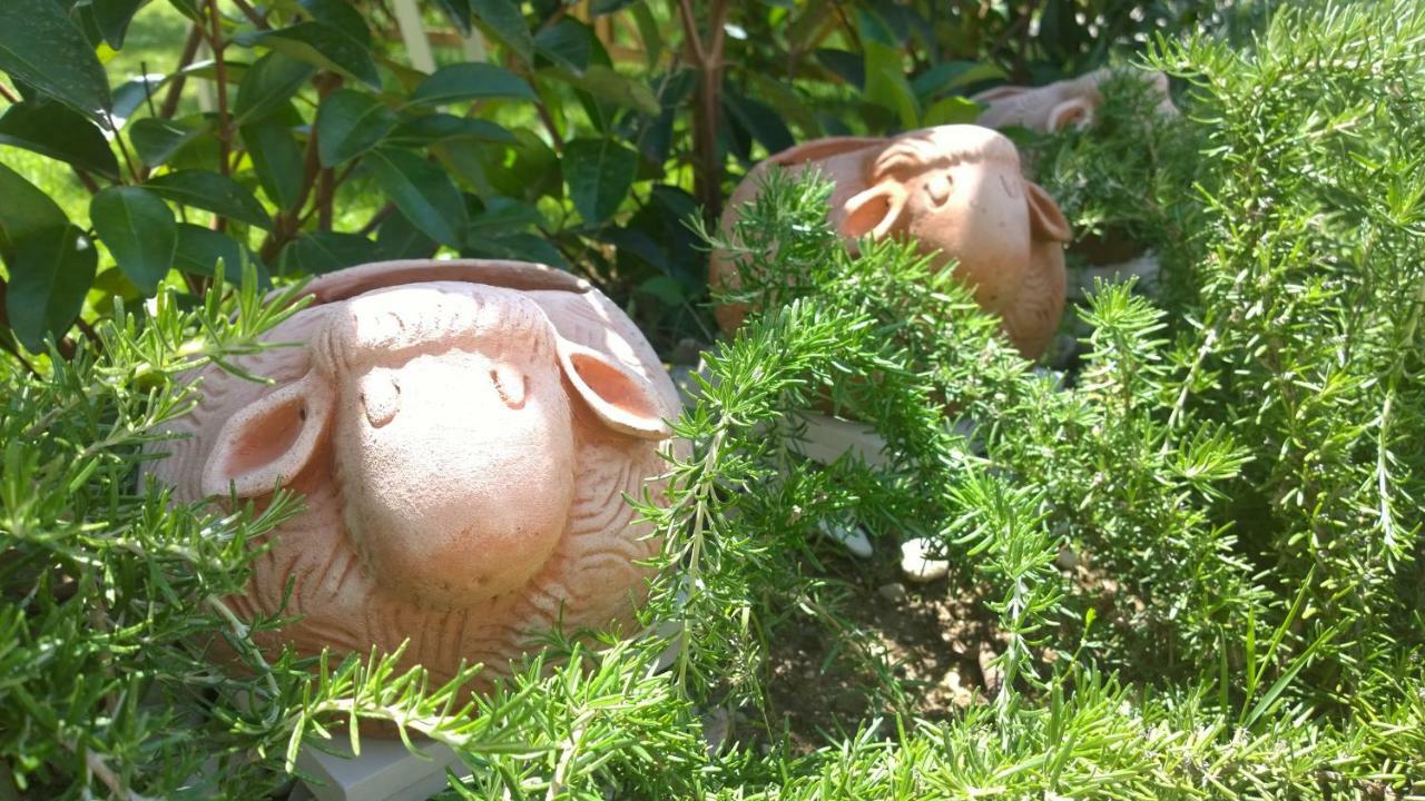 Le Pecore Di Terracotta Apartment